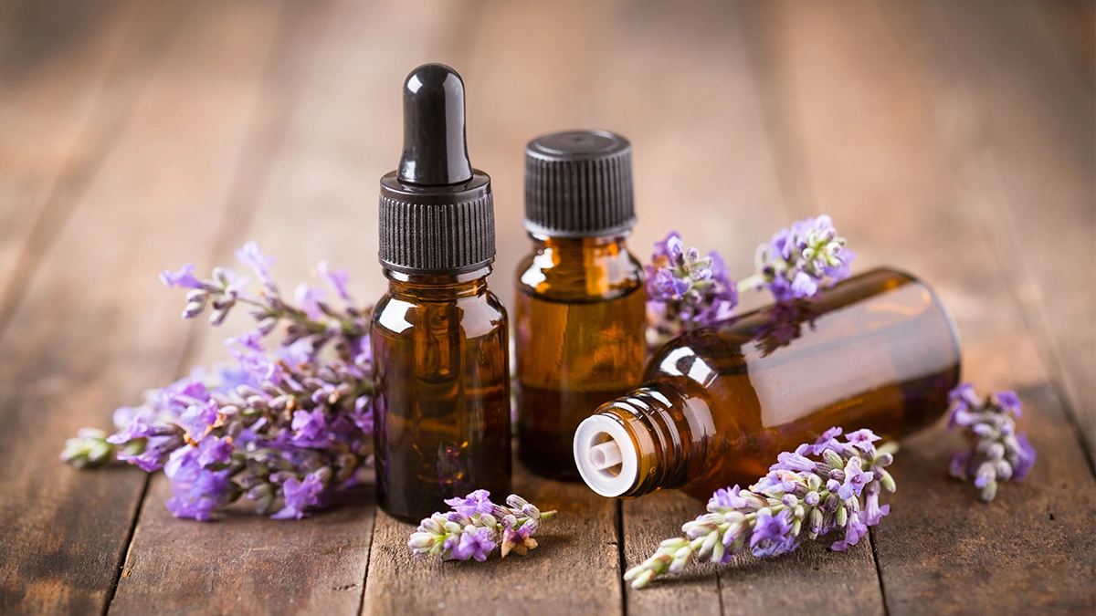 Lavender essential oil bottles with fresh lavender flowers on a rustic wooden table Evidence That Organic Lavender Essential Oil Promotes Hair Growth