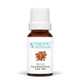 a bottle of Myrrh essential oil