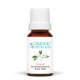 Neroli Essential Oil