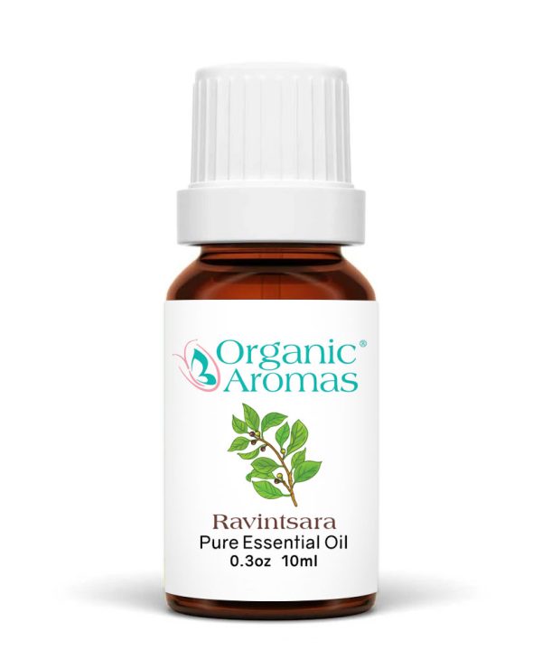 a brown bottle with a white cap of the Ravintsara Essential Oil-10ml