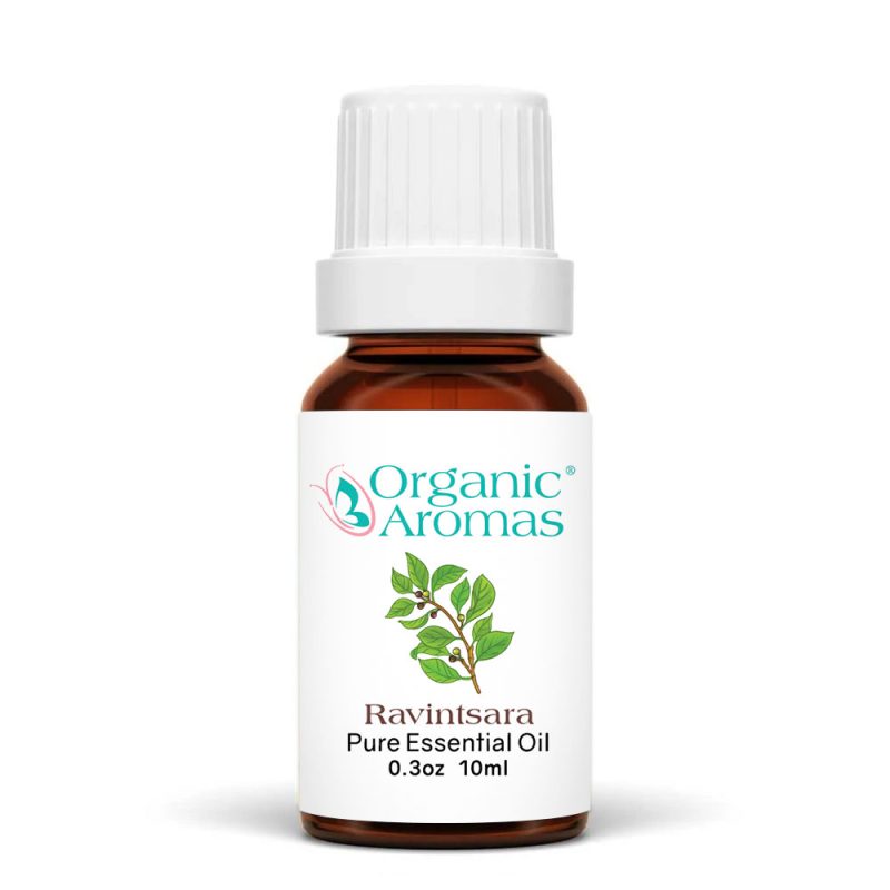 a brown bottle with a white cap of the Ravintsara Essential Oil-10ml
