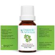 a brown bottle with a white cap of the Ravintsara Essential Oil-10ml- spread