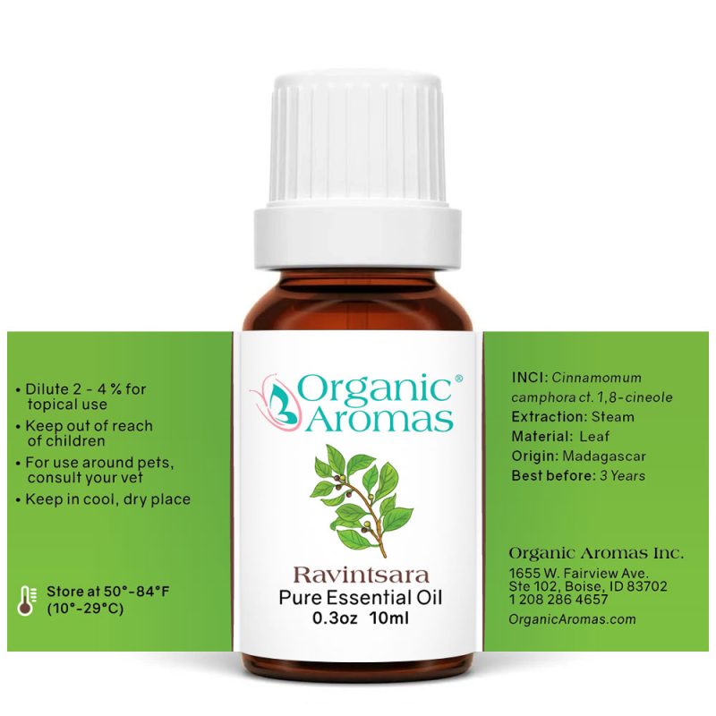 Ravintsara-10ml-Spread a brown bottle with a white cap of the Ravintsara Essential Oil-10ml- spread