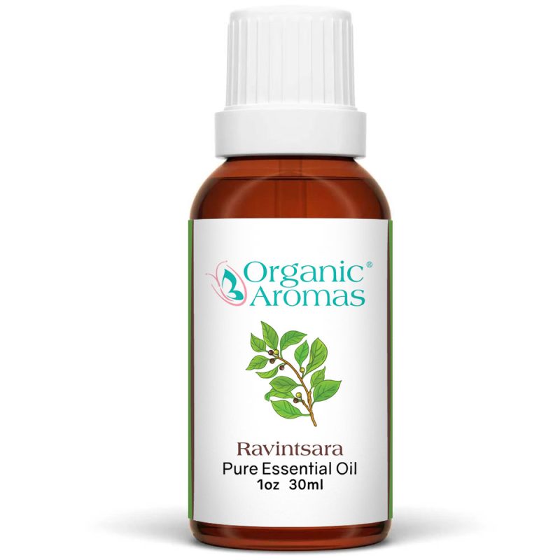 Ravintsara-30ml a brown bottle with a white cap of the Ravintsara Essential Oil-30ml