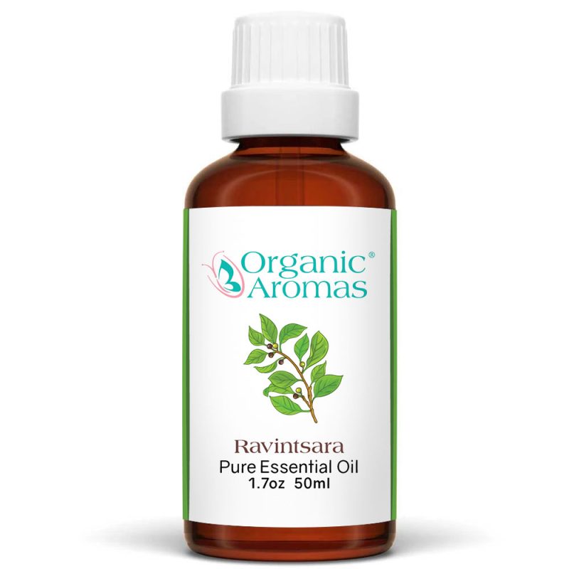 Ravintsaral-50ml a brown bottle with a white cap of the Ravintsara Essential Oil-50ml