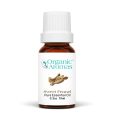 Sweet Fennel Essential Oil
