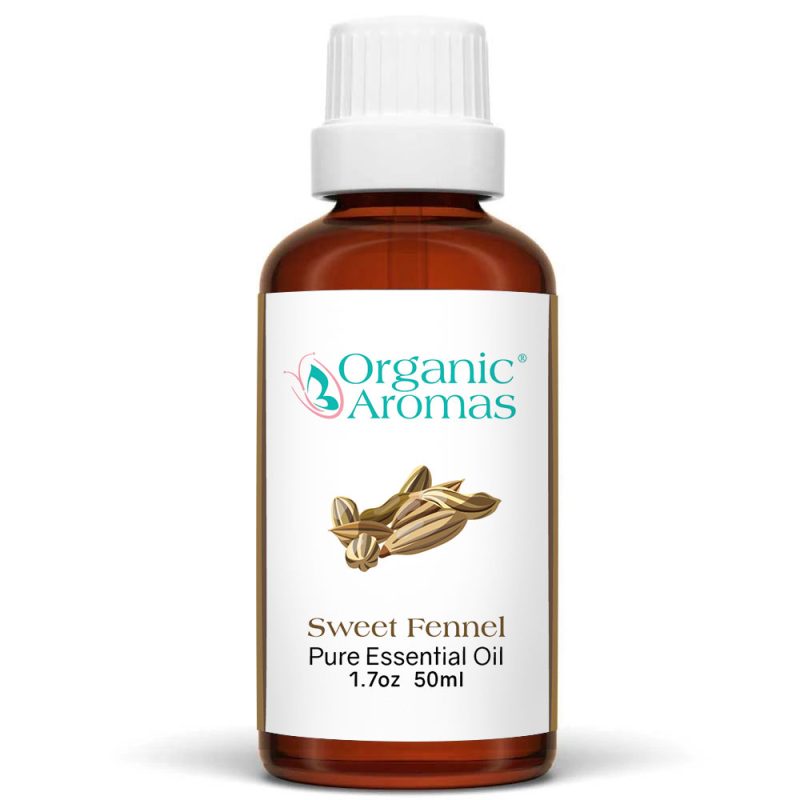 Sweet-Fennel-50ml a bottle of Fennel essential oil