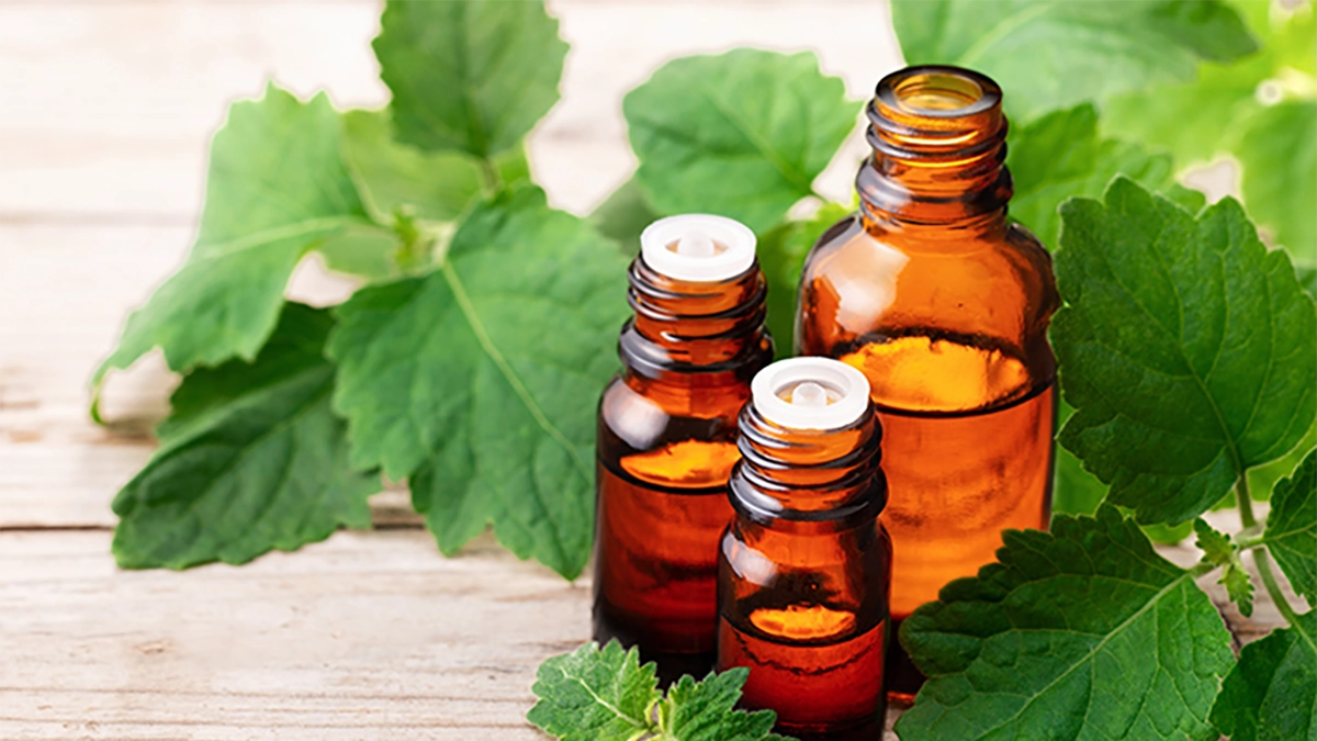 Bottles of patchouli oil surrounded by green leaves, symbolizing its calming, grounding benefits for the mind and spirit.
