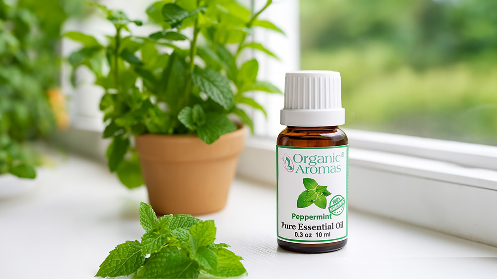 peppermint benefits, Peppermint Essential Oil