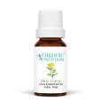 Blue Tansy-10ml