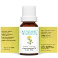 Blue-Tansy-10ml-Spread