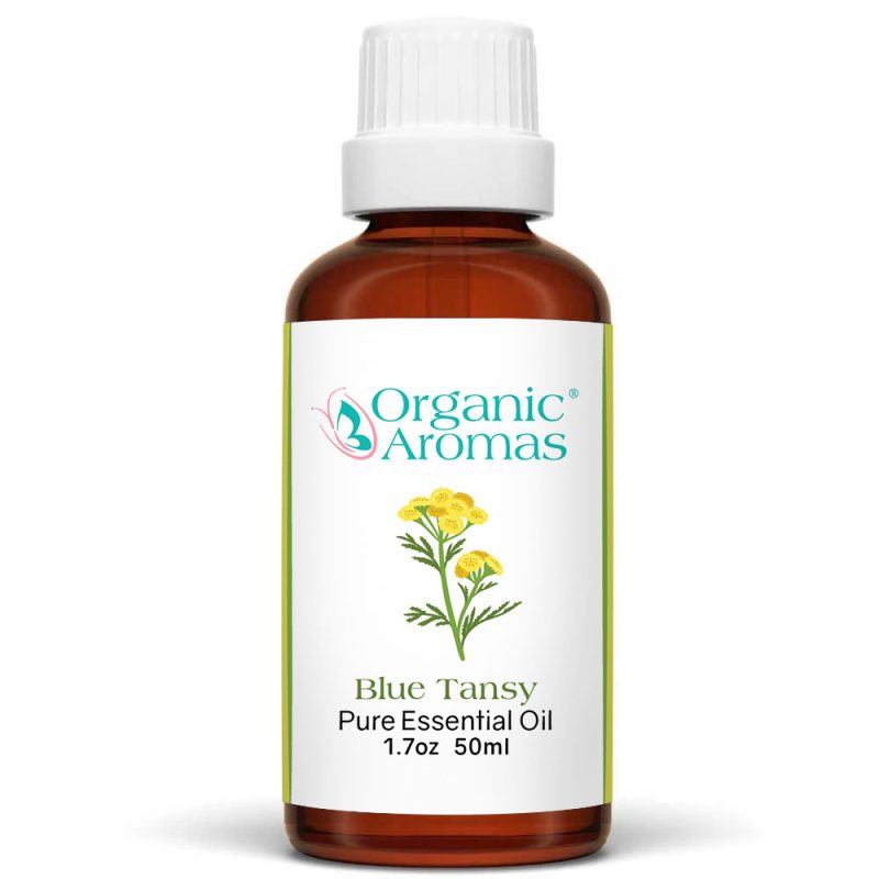 Blue-Tansy-50ml Blue-Tansy-50ml