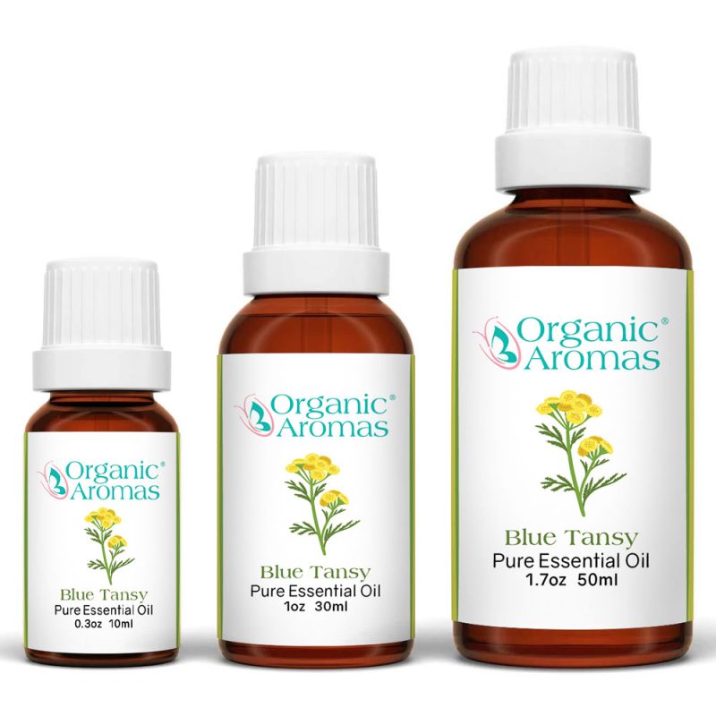 Blue_Tansy_Organic_Aromas_Essential_Oil_for_Aromatherapy Blue Tansy