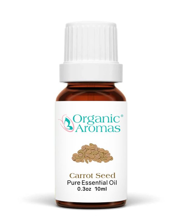 Carrot Seed-10ml