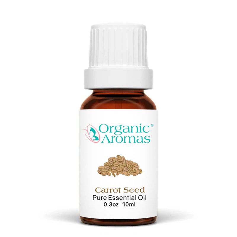Carrot Seed-10ml