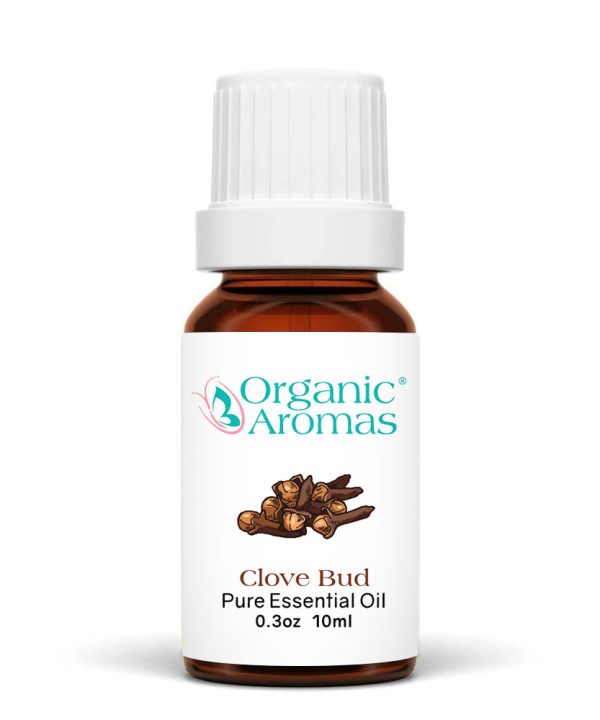 Clove bud-10ml