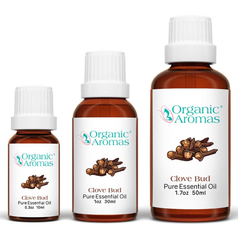 Clovebud_Organic_Aromas_Essential_Oil_for_Aromatherapy Clove Bud