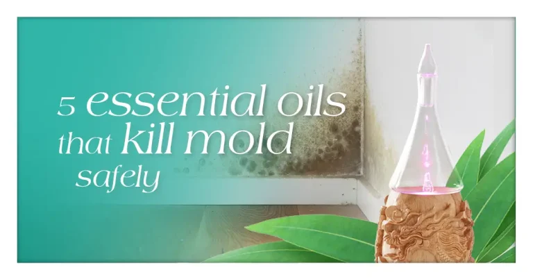 5 Essential Oils That Kill Mold Safely