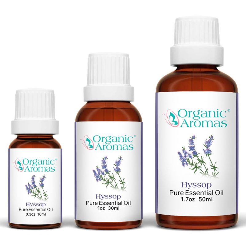 Hyssop_Organic_Aromas_Essential_Oil_for_Aromatherapy Hyssop
