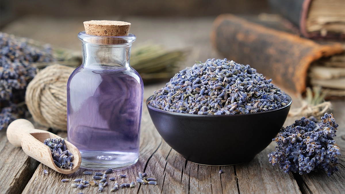 A glass bottle of lavender essential oil beside a black bowl filled with dried lavender buds, with sprigs of lavender and old books in the background on a rustic wooden surface — representing natural lavender sleep support techniques at a glance.