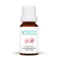 Magnolia-10ml