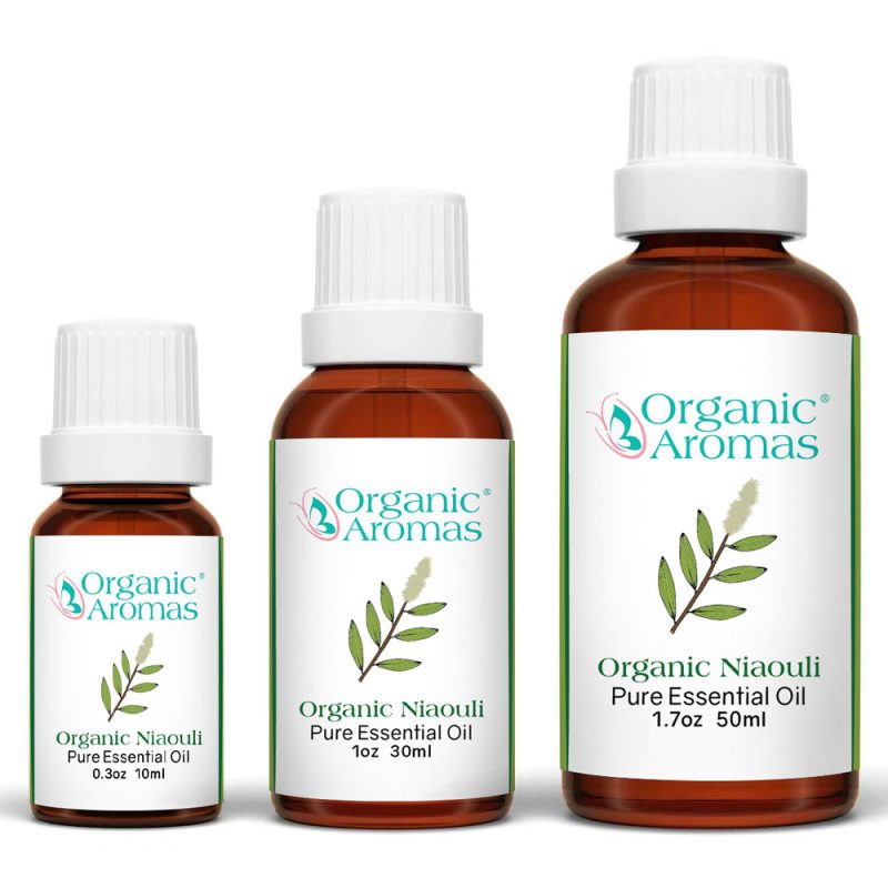 Niaouli_Organic_Aromas_Essential_Oil_for_Aromatherapy Niaouli