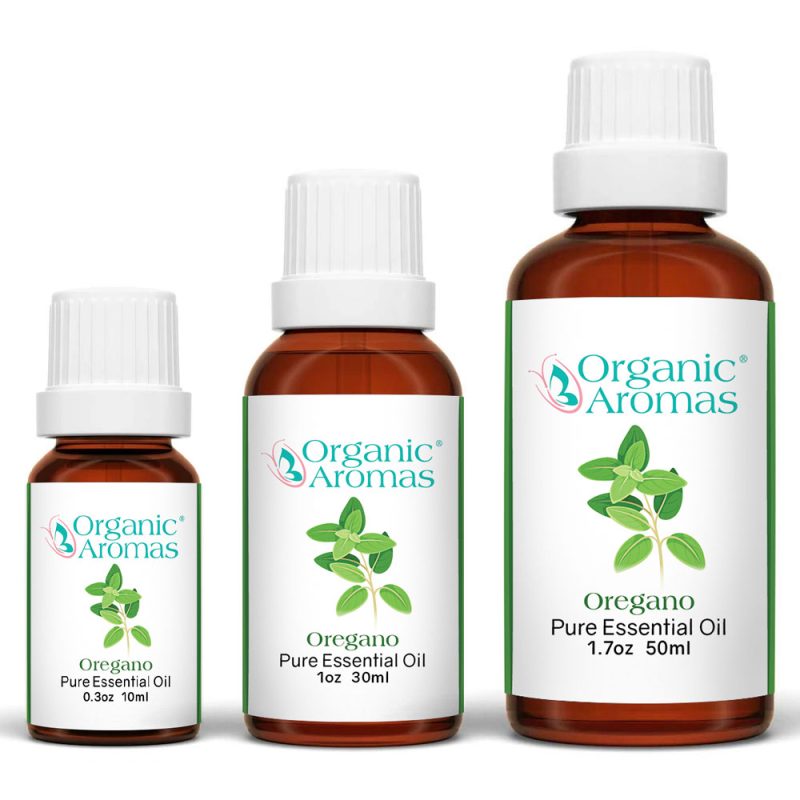 Oregano_Organic_Aromas_Essential_Oil_for_Aromatherapy Oregano