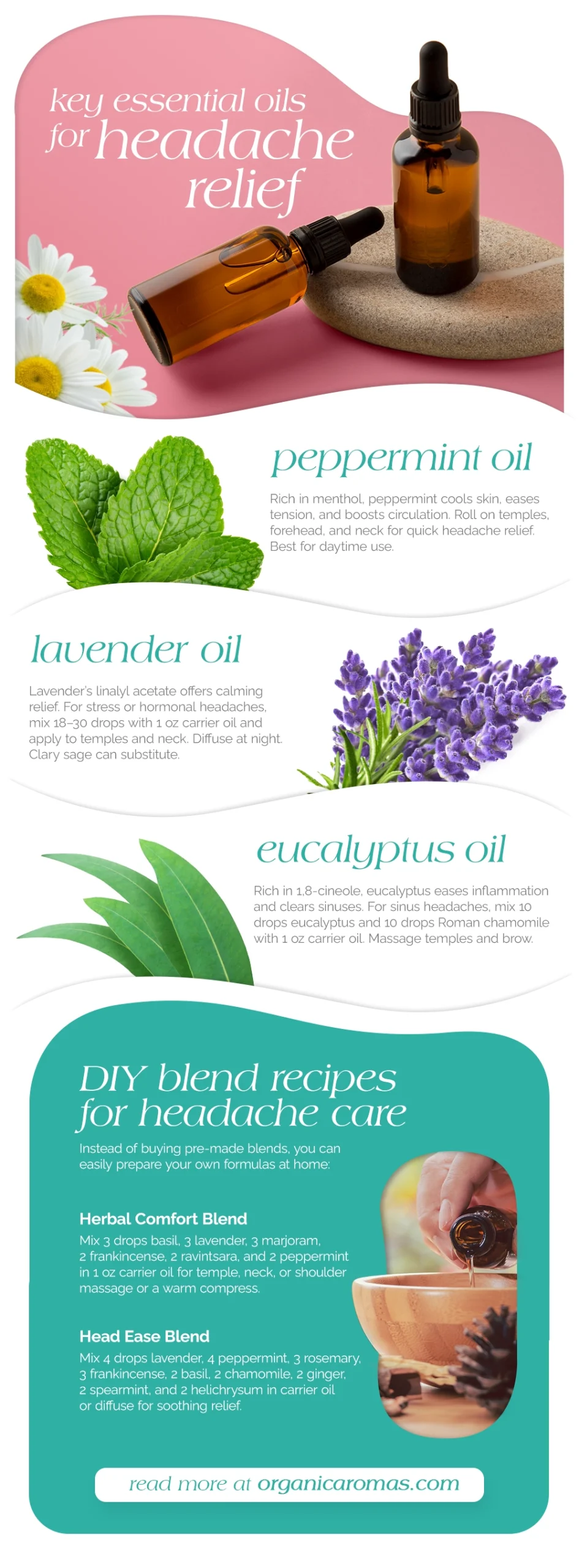 Key Essential Oils for Headache Relief Infographic by Organic Aromas