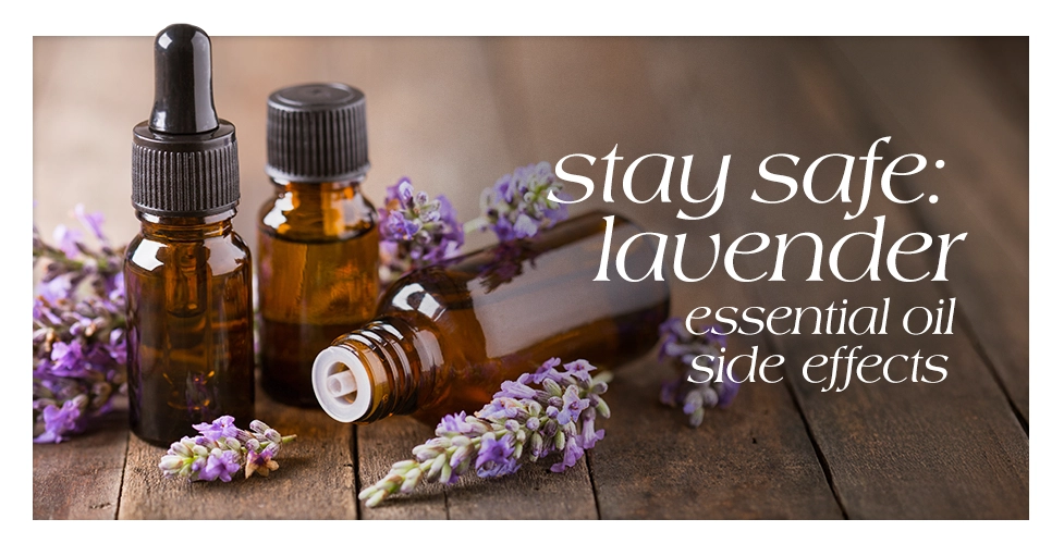 5 Lavender Essential Oil Side Effects Stay Safe featured image