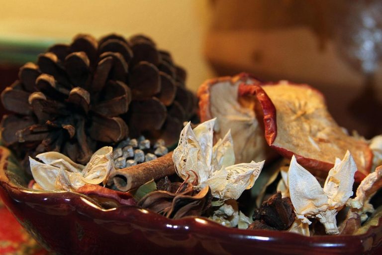 Edens Garden Debuts Four Cozy Fall Scents: Spiced Chai Latte, Coffee Crumb Cake, Pumpkin Pie and Vanilla Spice