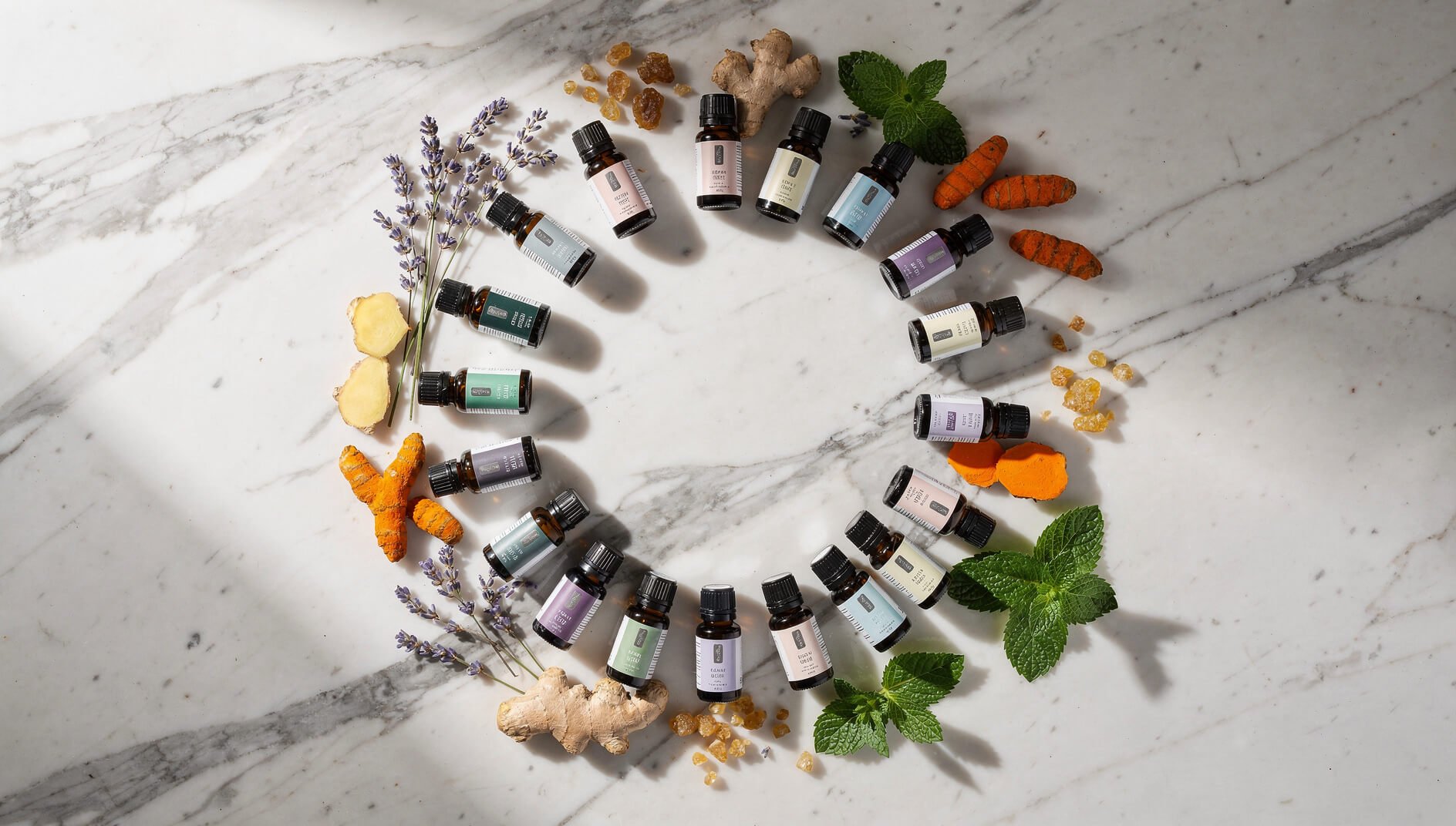 Collection of 12 essential oils with anti-inflammatory properties
