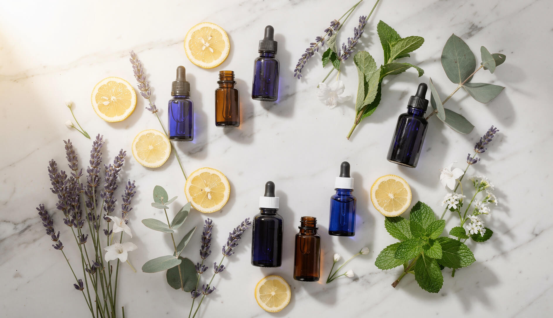 Best essential oils for diffusers arranged with lavender eucalyptus peppermint and lemon on white marble