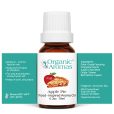FO_Apple Pie_10m_spread