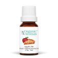 FO_Apple Pie_10ml