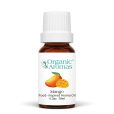 FO_Mango_10ml