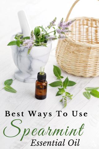 Best Ways to Use Spearmint Essential Oil 