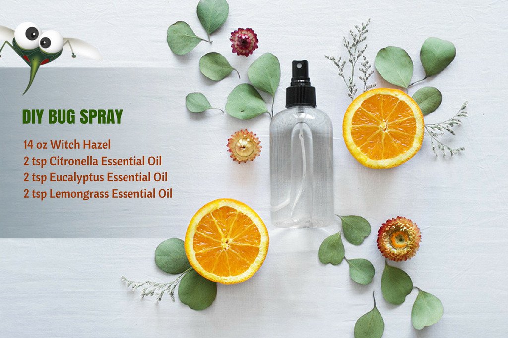 DIY Bug Spray