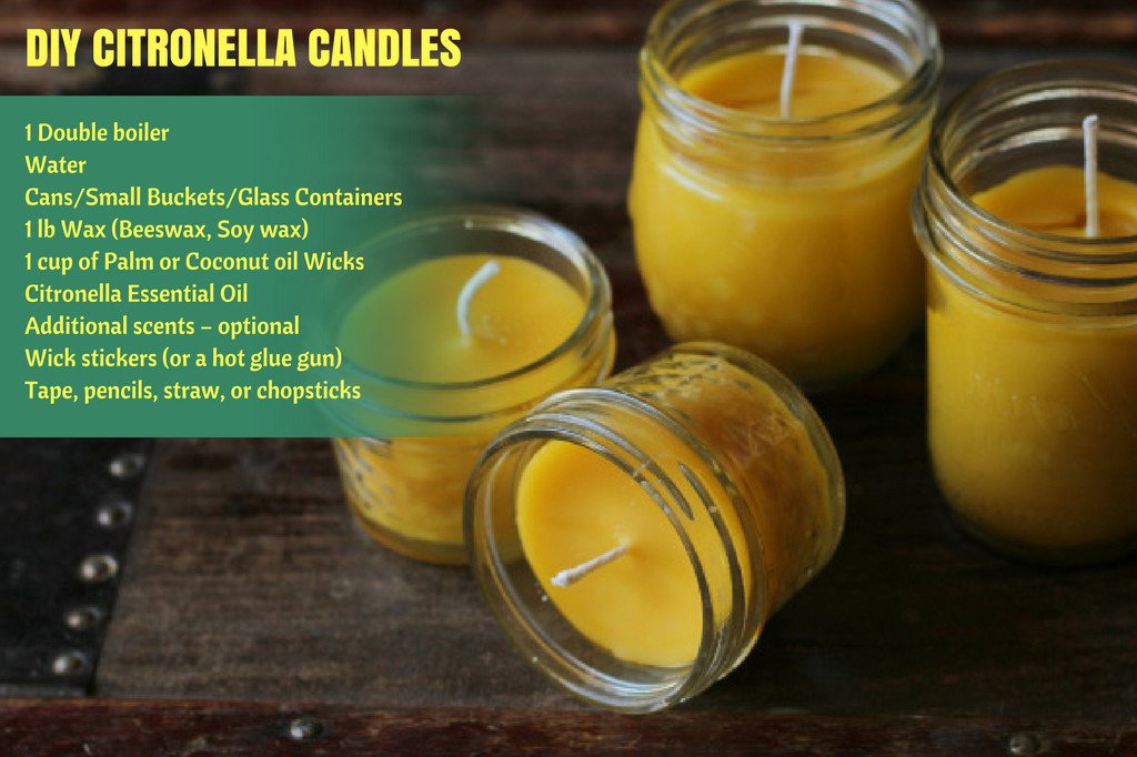 DIY Citronella Candles