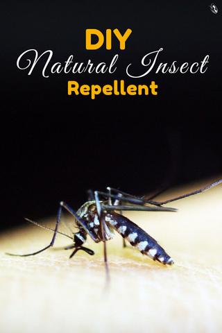 DIY Natural Insect Repellent