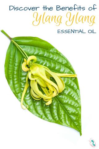 Discover the Benefits of Ylang Ylang Essential Oil