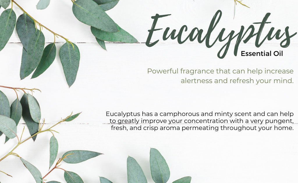 Eucalyptus Essential Oil