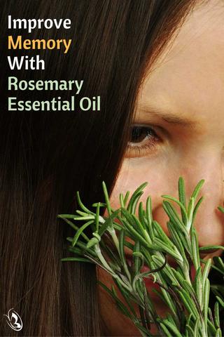 Rosemary and Memory Pinterest by Organic Aromas