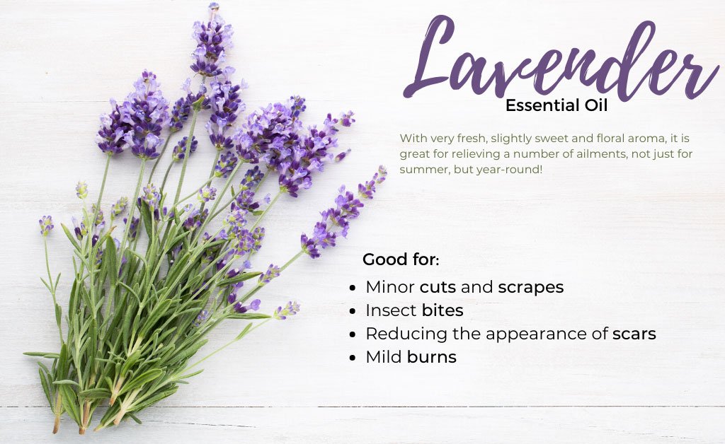 What Essential Oils Do You Need This Summer?