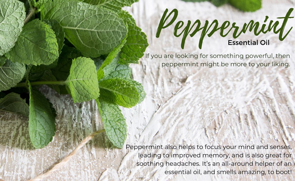 Peppermint Essential Oil