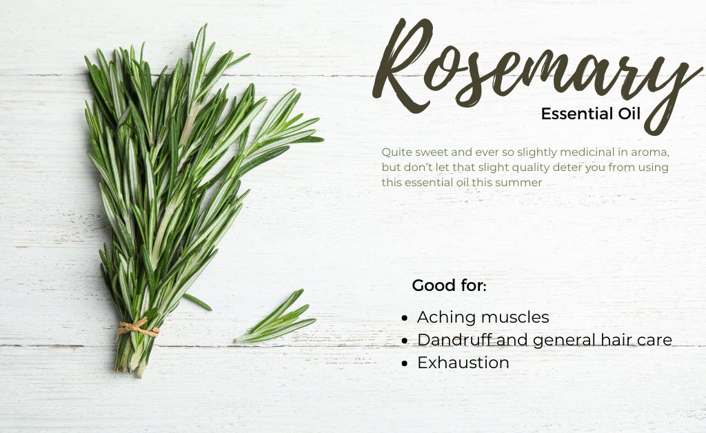 Rosemary Essential Oil