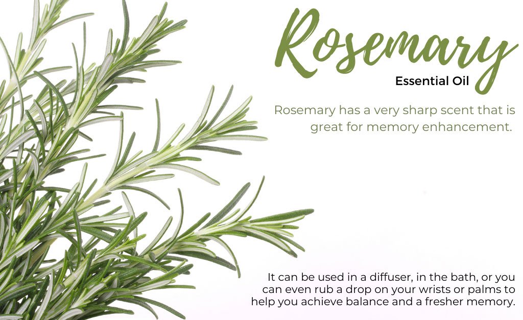 Rosemary Essential Oil