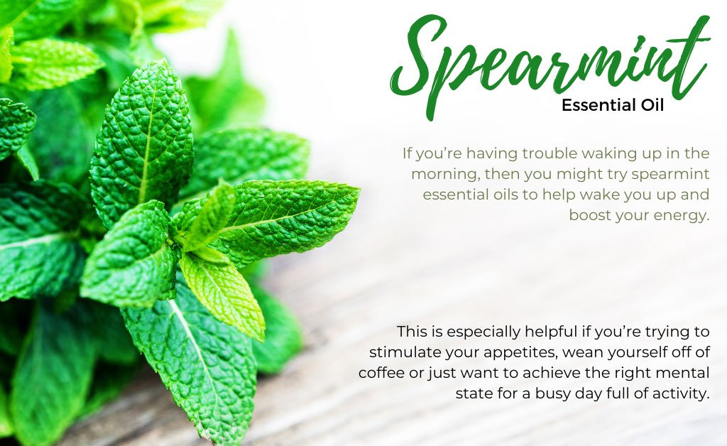 Spearmint Essential Oil 