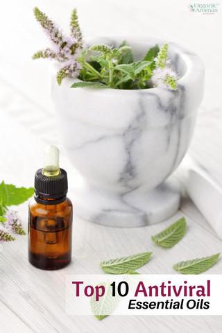 Top 10 Antiviral Essential Oils