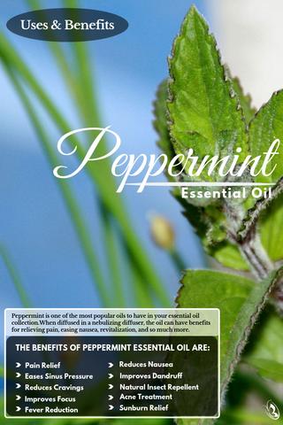 Aromatherapy: 10 Benefits Of Peppermint Oil