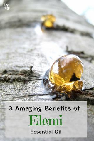 Top 3 Amazing Benefits of Elemi Essential Oil